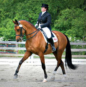 Tracy060608dressage.jpg