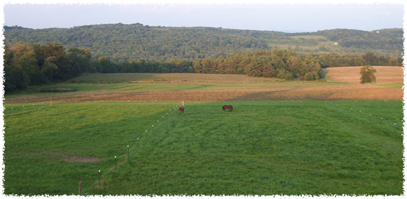 View of Turnouts